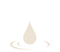 Beautiful power ICON