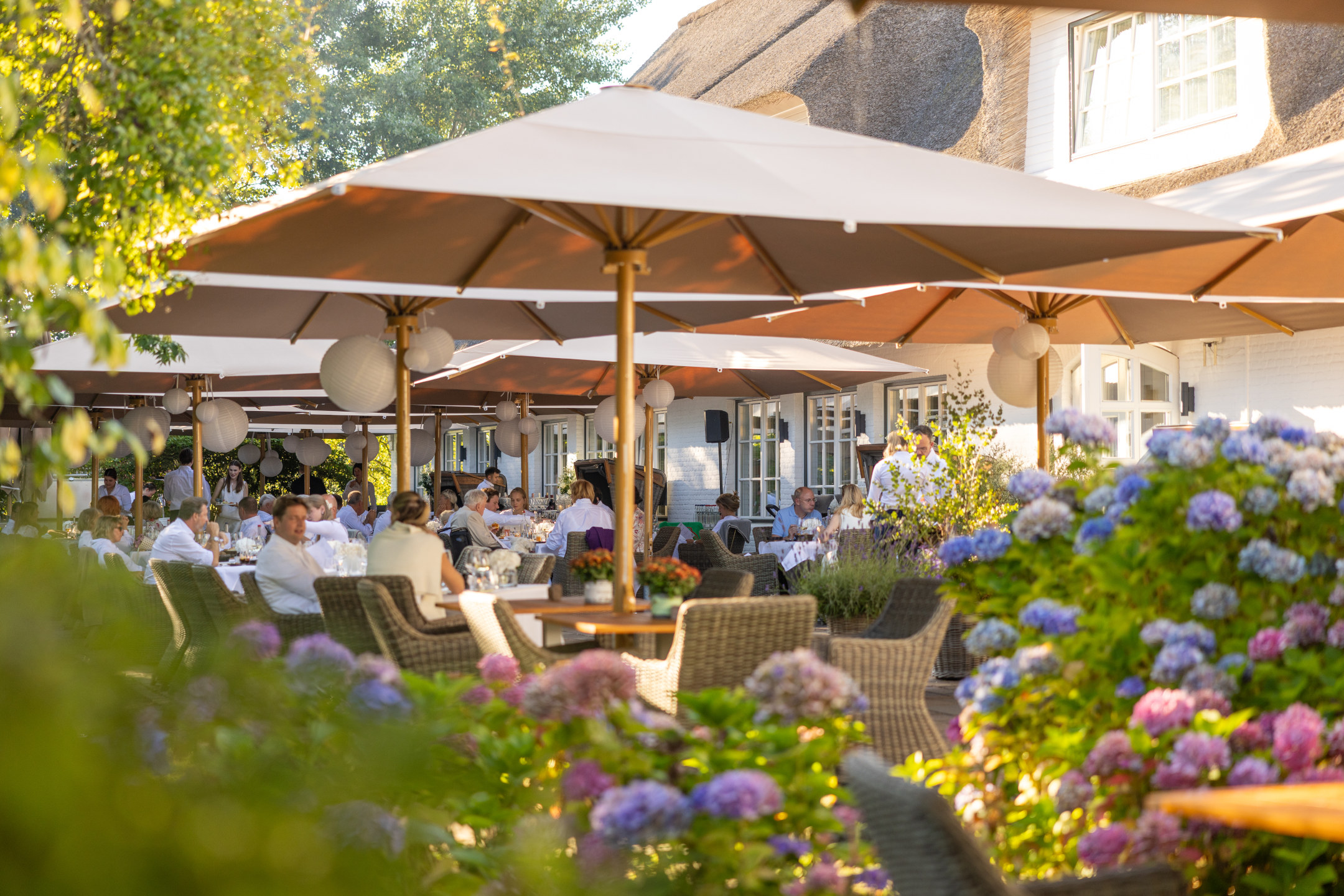 Blick auf die Terrasse mit Sonnenschirmen und Hortensienbüschen.