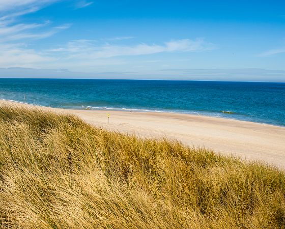 Weißer Sandstrand und blaues Meer, umgeben von grünen Dünen, unter blauem Himmel auf Sylt.