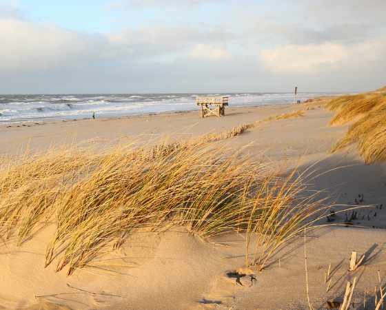 Weitläufiger Sandstrand auf Sylt mit Dünen, Meer und einem hölzernen Aussichtspunkt bei Sonnenuntergang.