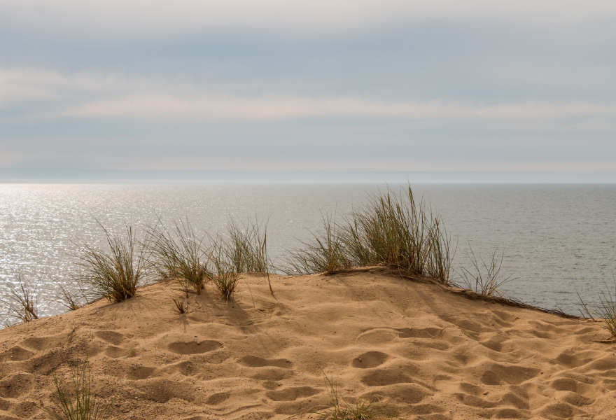 Sanddüne mit Gräsern vor ruhiger See und bewölktem Himmel auf Sylt.