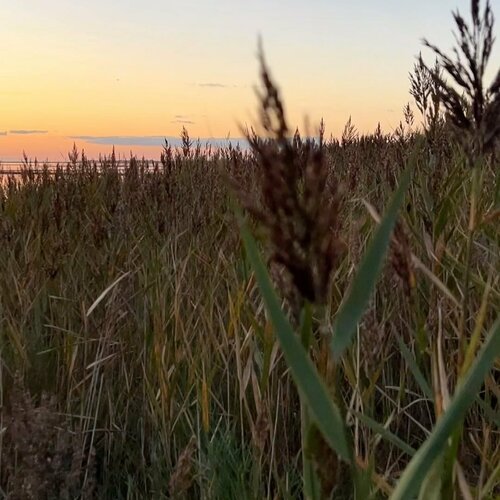 BEAUTIFUL SUNRISE IN KEITUM!🌾•••••••••#resortspa #sylturlaub #spahotel #sparesortsylt #syltliebe #relaxtime...