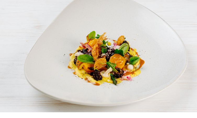 Gourmetgericht mit bunten Zutaten, elegant angerichtet auf weißem Teller im Severin*s Resort & Spa auf Sylt.