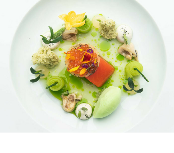 Gourmetgericht auf weißem Teller, kunstvoll angerichtet mit Lachs, grünem Püree und dekorativen Zutaten.