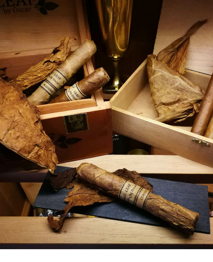 Cigar selection in open wooden boxes, surrounded by tobacco leaves, at Severin*s Resort & Spa on Sylt.