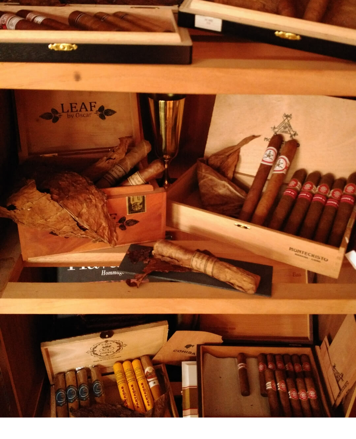 Cigar Humidor in the Smoker's Lounge of the Hotel Severin*s Resort and Spa on Sylt