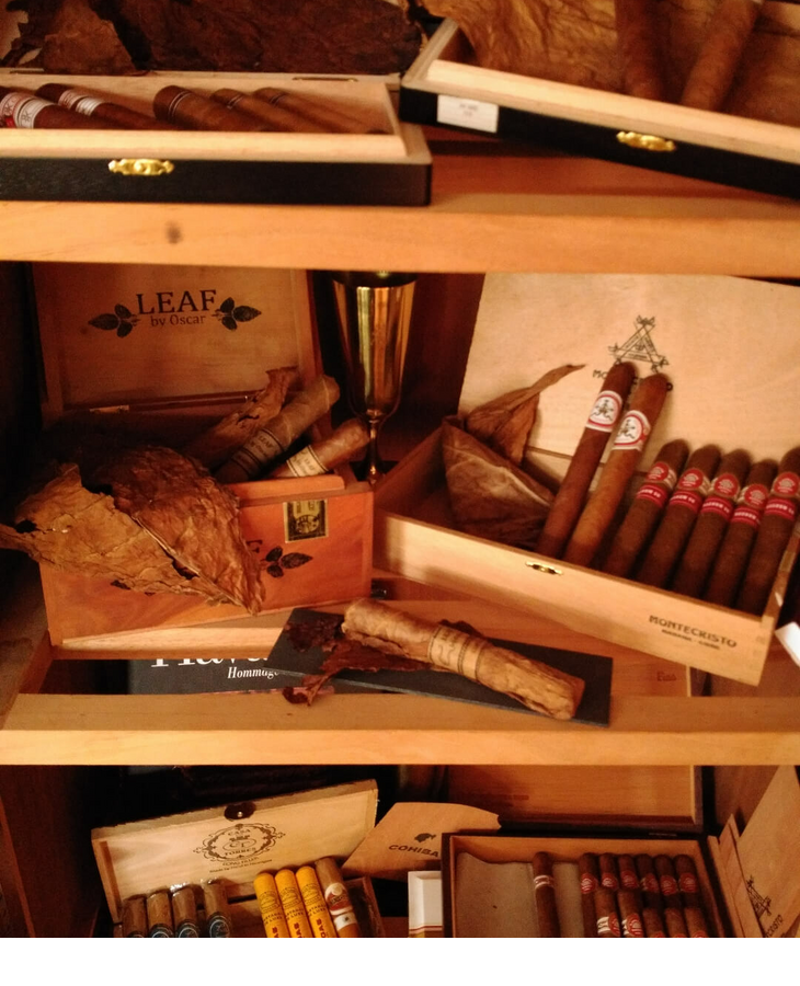 Cigar Humidor in the Smoker's Lounge of the Hotel Severin*s Resort and Spa on Sylt