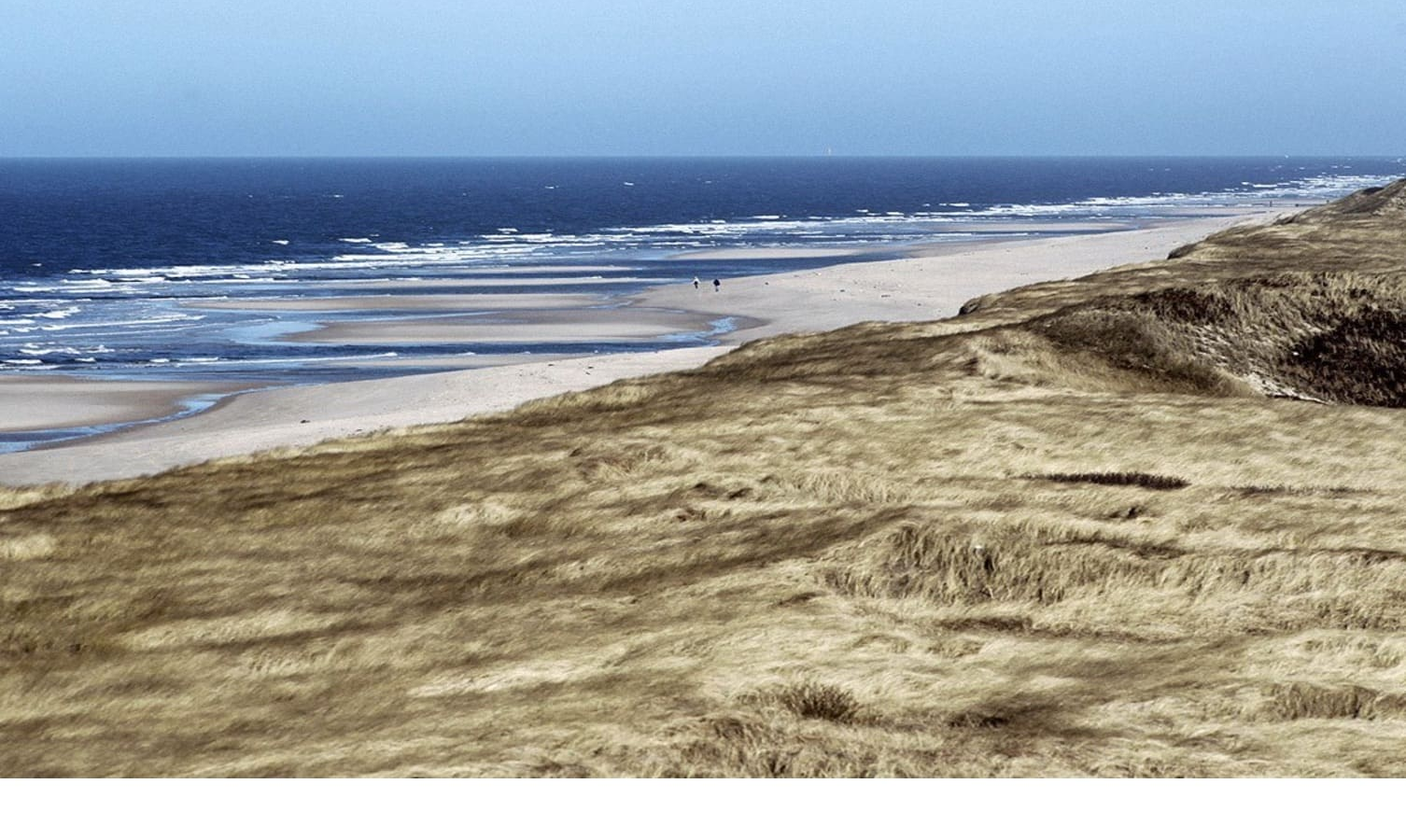 Wadden sea Wide sandy beach with grassy dunes and a view of the sea on a clear day.