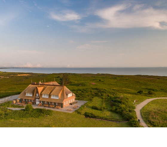 Thatched Hotel Landhaus Severin*s on Sylt, surrounded by green countryside, with a view of the sea.