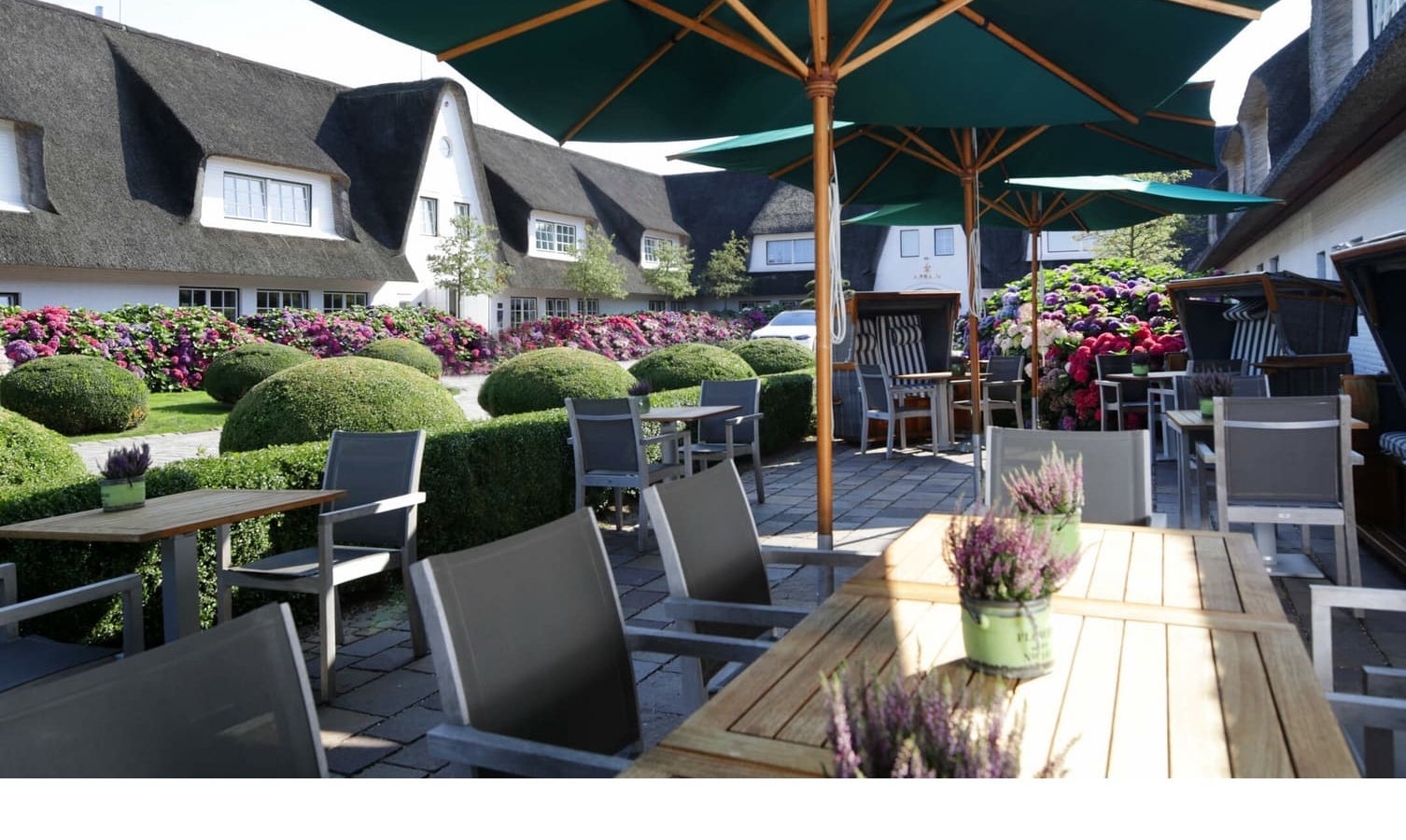 Terrasse mit Tischen, Stühlen und Sonnenschirmen, umgeben von blühenden Hortensien und reetgedeckten Gebäuden.