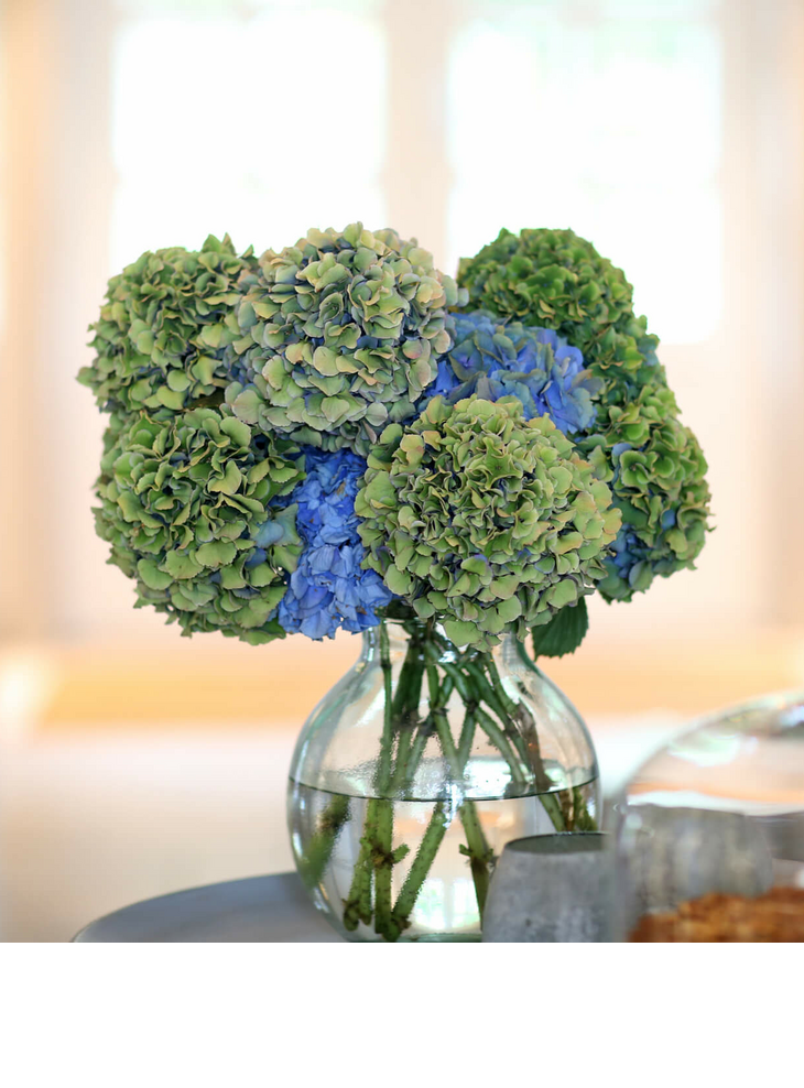 Blue and green hydrangea bouquet in glass vase, next to decorative lamp on table in Severin*s Resort & Spa.