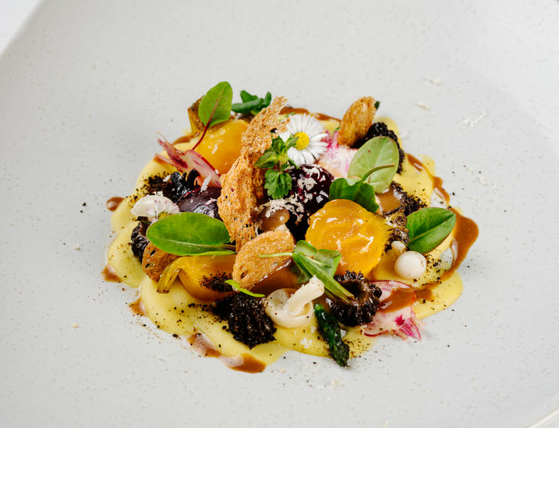 Gourmetgericht auf weißem Teller, kunstvoll angerichtet mit bunten Zutaten und essbaren Blüten im Severin*s Resort & Spa.