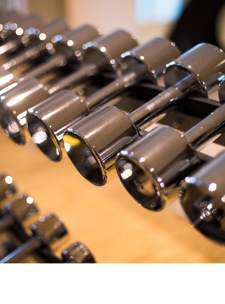 Cardio- und Krafttraining mit Hanteln im Hotel Severin*s auf Sylt